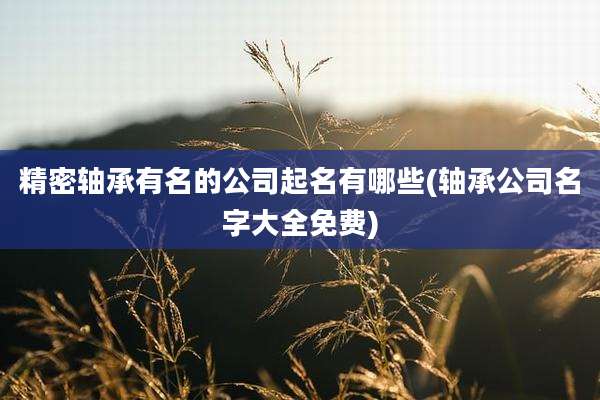 精密轴承有名的公司起名有哪些(轴承公司名字大全免费)