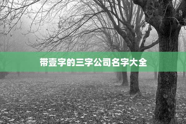 带壹字的三字公司名字大全