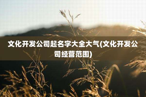 文化开发公司起名字大全大气(文化开发公司经营范围)