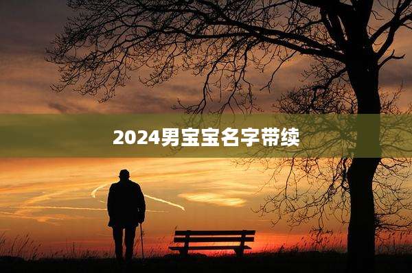 2024男宝宝名字带续