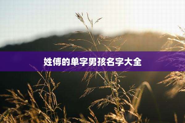 姓傅的单字男孩名字大全