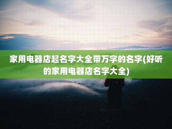 家用电器店起名字大全带万字的名字(好听的家用电器店名字大全)