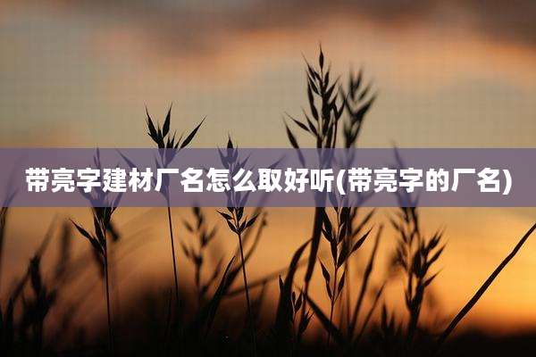 带亮字建材厂名怎么取好听(带亮字的厂名)