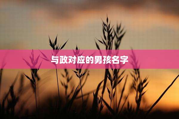 与政对应的男孩名字