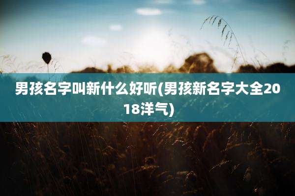 男孩名字叫新什么好听(男孩新名字大全2018洋气)