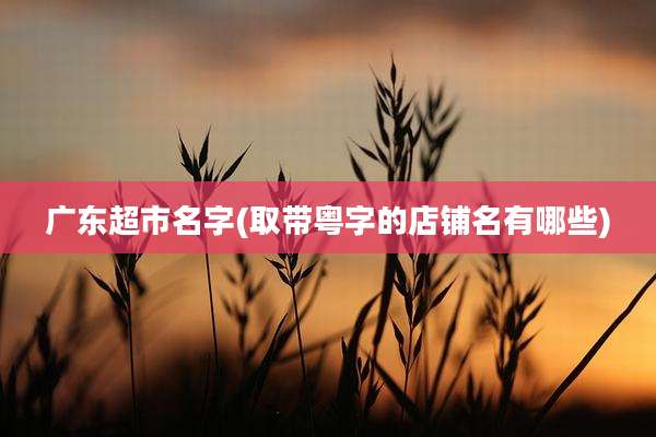广东超市名字(取带粤字的店铺名有哪些)