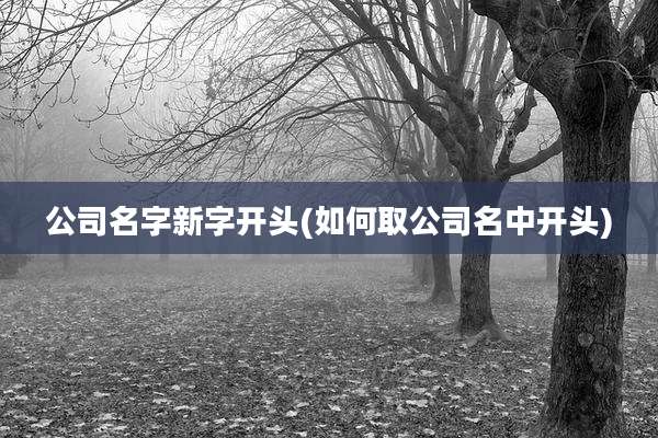 公司名字新字开头(如何取公司名中开头)