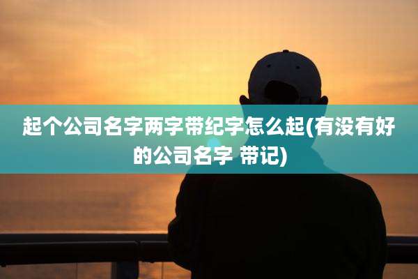 起个公司名字两字带纪字怎么起(有没有好的公司名字 带记)