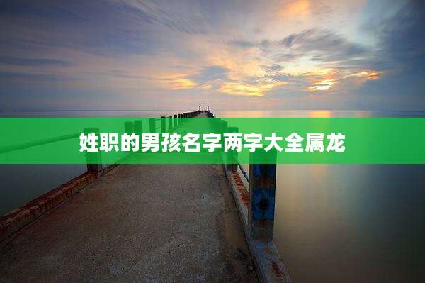 姓职的男孩名字两字大全属龙