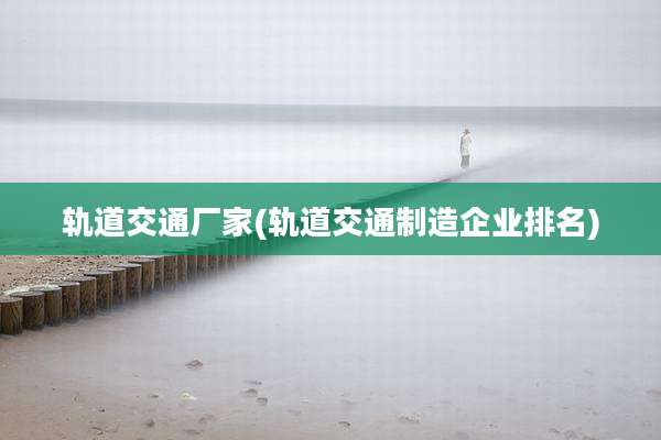 轨道交通厂家(轨道交通制造企业排名)