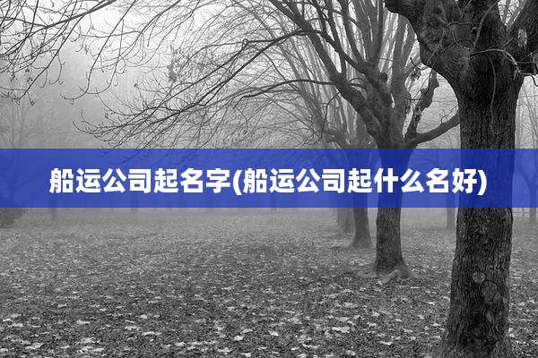船运公司起名字(船运公司起什么名好)