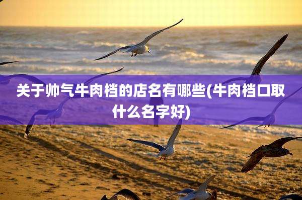 关于帅气牛肉档的店名有哪些(牛肉档口取什么名字好)