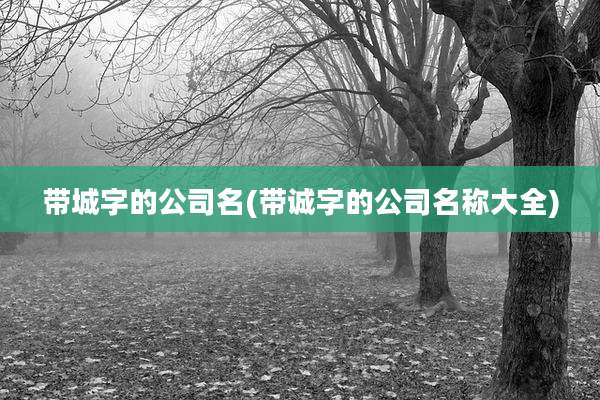 带城字的公司名(带诚字的公司名称大全)