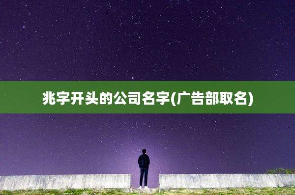 兆字开头的公司名字(广告部取名)