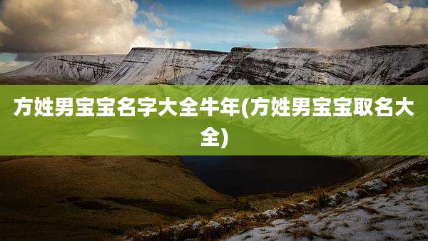 方姓男宝宝名字大全牛年(方姓男宝宝取名大全)
