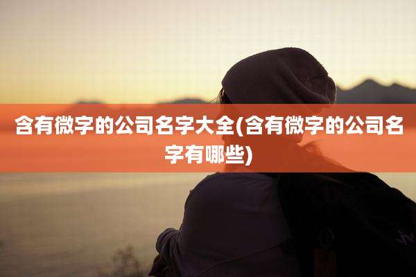 含有微字的公司名字大全(含有微字的公司名字有哪些)