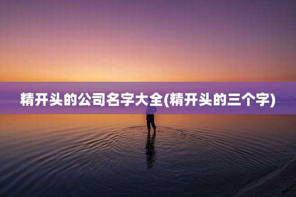 精开头的公司名字大全(精开头的三个字)