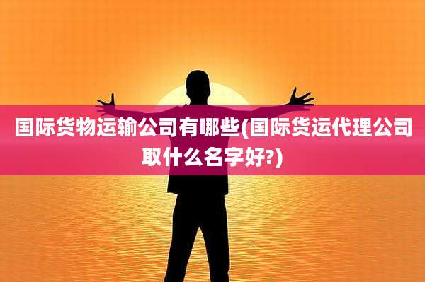 国际货物运输公司有哪些(国际货运代理公司取什么名字好?)