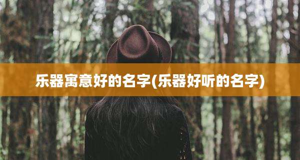 乐器寓意好的名字(乐器好听的名字)