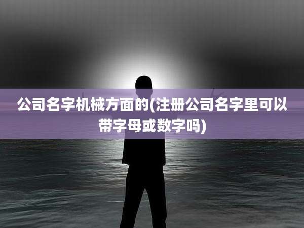 公司名字机械方面的(注册公司名字里可以带字母或数字吗)