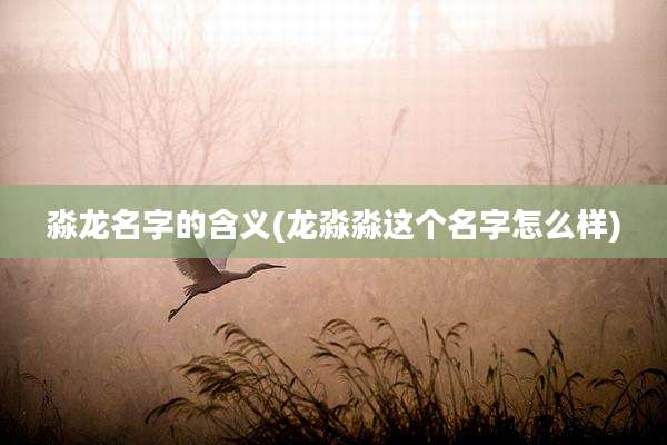 淼龙名字的含义(龙淼淼这个名字怎么样)