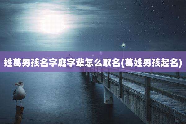姓葛男孩名字庭字辈怎么取名(葛姓男孩起名)