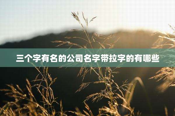 三个字有名的公司名字带拉字的有哪些