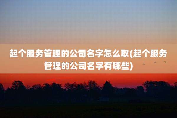 起个服务管理的公司名字怎么取(起个服务管理的公司名字有哪些)