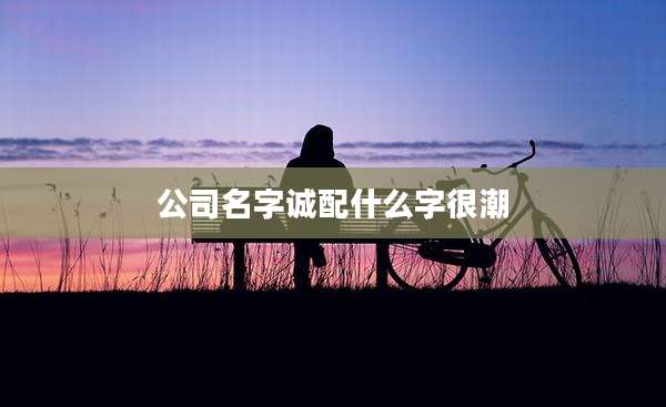 公司名字诚配什么字很潮