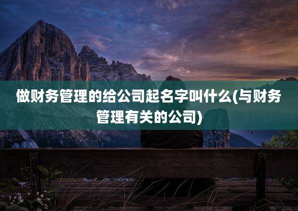 做财务管理的给公司起名字叫什么(与财务管理有关的公司)