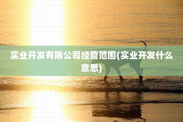 实业开发有限公司经营范围(实业开发什么意思)