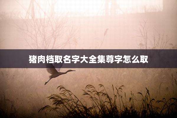 猪肉档取名字大全集尊字怎么取
