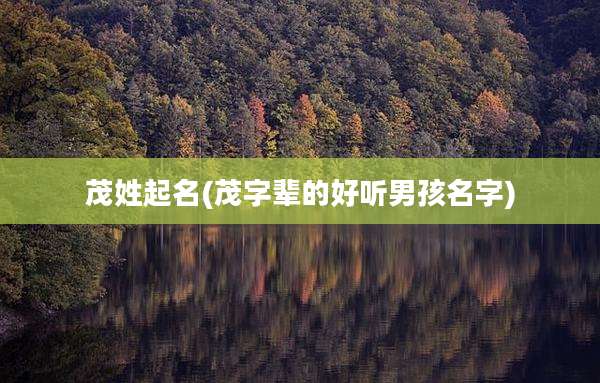 茂姓起名(茂字辈的好听男孩名字)