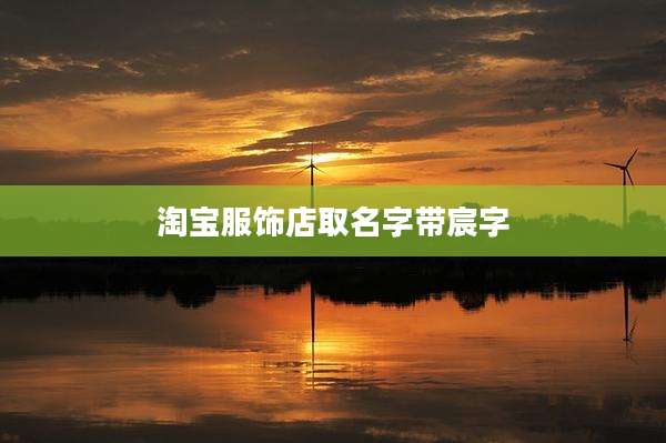 淘宝服饰店取名字带宸字