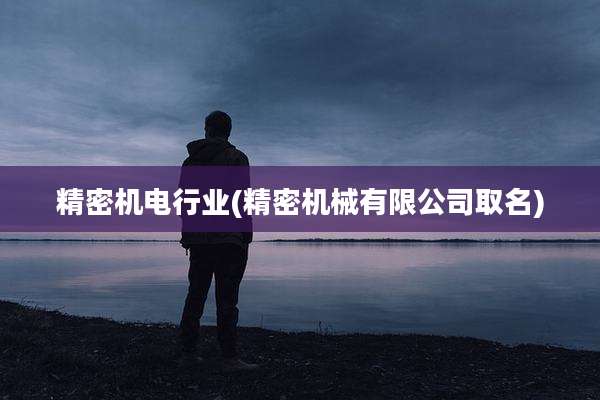 精密机电行业(精密机械有限公司取名)