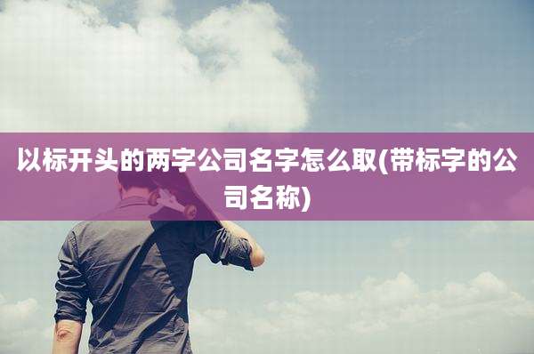 以标开头的两字公司名字怎么取(带标字的公司名称)