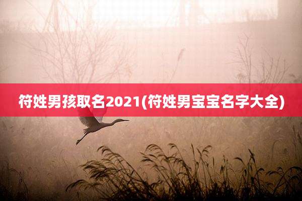 符姓男孩取名2021(符姓男宝宝名字大全)