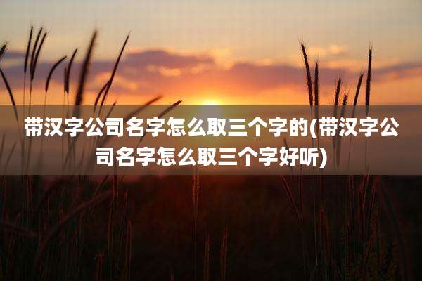 带汉字公司名字怎么取三个字的(带汉字公司名字怎么取三个字好听)