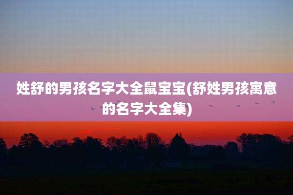 姓舒的男孩名字大全鼠宝宝(舒姓男孩寓意的名字大全集)
