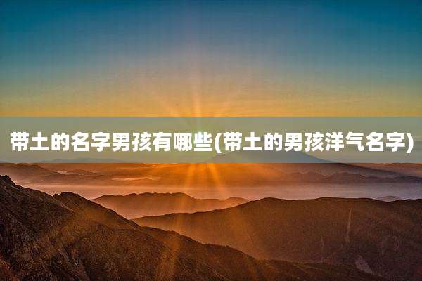 带土的名字男孩有哪些(带土的男孩洋气名字)