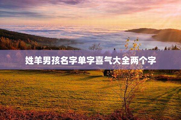 姓羊男孩名字单字喜气大全两个字