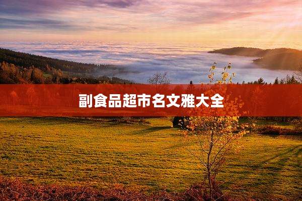 副食品超市名文雅大全