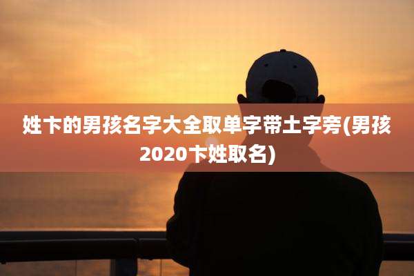 姓卞的男孩名字大全取单字带土字旁(男孩2020卞姓取名)