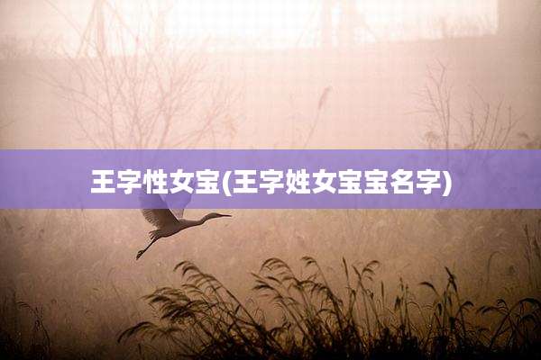 王字性女宝(王字姓女宝宝名字)
