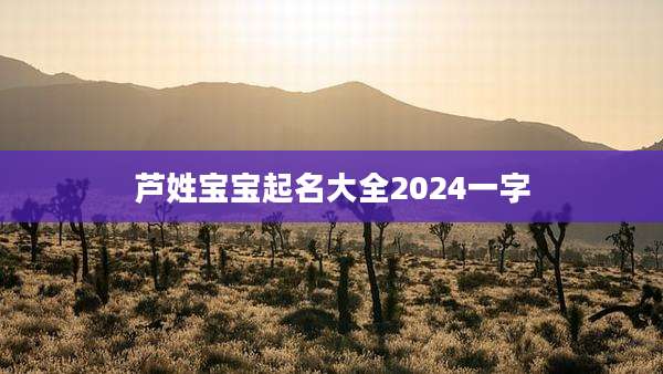 芦姓宝宝起名大全2024一字