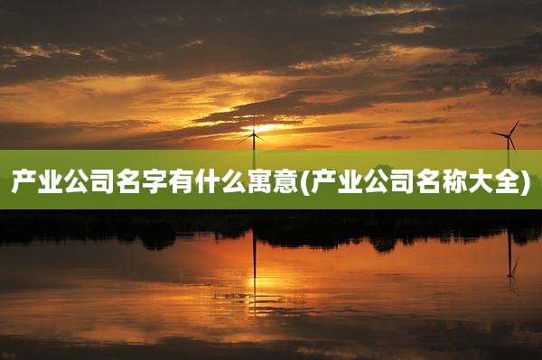 产业公司名字有什么寓意(产业公司名称大全)