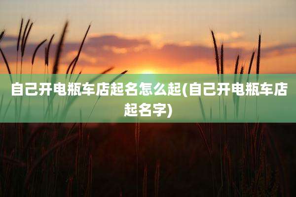 自己开电瓶车店起名怎么起(自己开电瓶车店起名字)