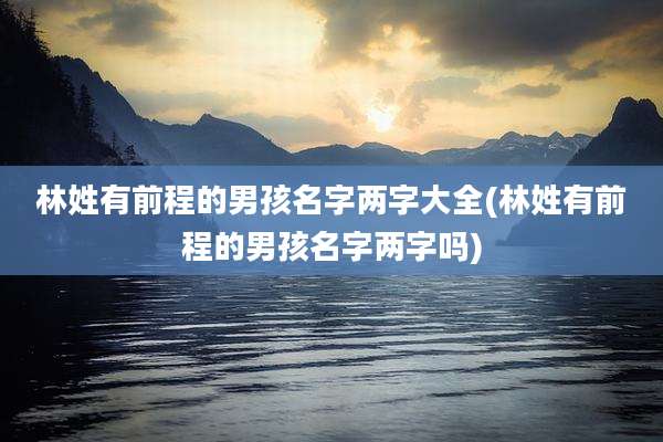 林姓有前程的男孩名字两字大全(林姓有前程的男孩名字两字吗)