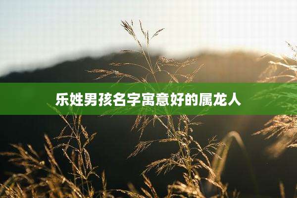 乐姓男孩名字寓意好的属龙人