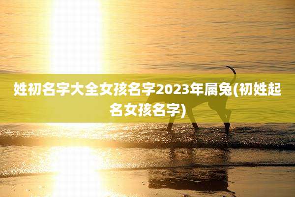 姓初名字大全女孩名字2023年属兔(初姓起名女孩名字)